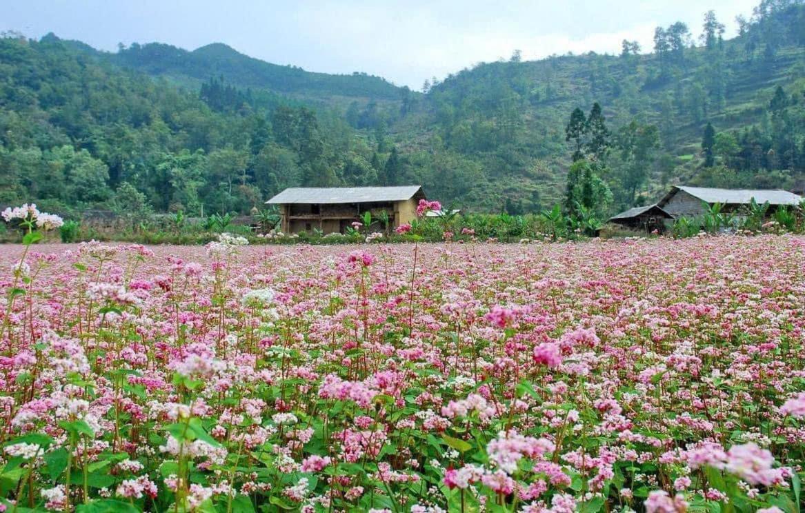 Thuy Anh Hotel Ha Giang Dış mekan fotoğraf